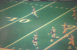 Ty Law Touchdown